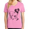 Women's Core Cotton V Neck Tee Thumbnail