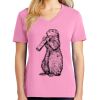 Women's Core Cotton V Neck Tee Thumbnail