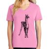 Women's Core Cotton V Neck Tee Thumbnail