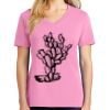 Women's Core Cotton V Neck Tee Thumbnail