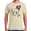 Heavy Cotton ™ 100% Cotton T Shirt Thumbnail